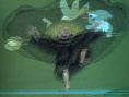 草人