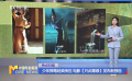 少年挥笔经典传世  电影《只此青绿》发布新预告