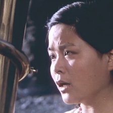 迷人的樂隊(duì)