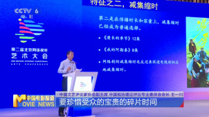 网络剧集精品化发展 构建高品质美学体系