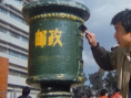 鴿子迷的奇遇