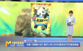 电影《熊猫计划》国庆上映 功夫巨星成龙守护国宝熊猫