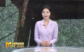《中國電影報道》第268期（20240924）