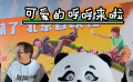 《熊貓計(jì)劃》首映： 可愛(ài)的呼呼來(lái)啦