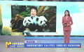 電影院熱度正飆升《出入平安》《熊貓計劃》先后發(fā)布特輯
