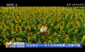 日出东方——七十五年来银幕上的新中国-山乡巨变（下）