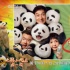 成龍化身“熊貓俠”，攜手奪寶聯(lián)盟趣救國寶！