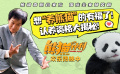 《熊猫计划》曝“认养呼呼”预告 成龙挑战认养资格测试萌翻众人