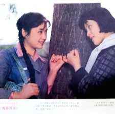 青春萬歲