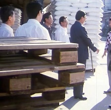 女人的力量