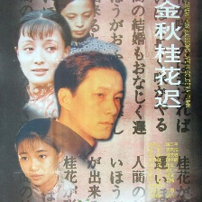 金秋桂花遲