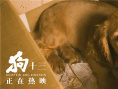 狗十三