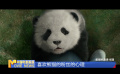 《中國(guó)電影報(bào)道》第284期（20241010）