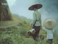 良家妇女
