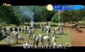 內(nèi)羅畢的凱倫莊園是電影《走出非洲》的靈感之源