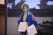 穆桂英挂帅