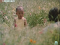 如意