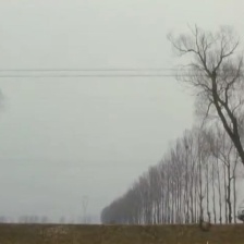 一年到頭