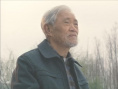 海鸥老人