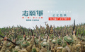 《志愿军：存亡之战》正在热映 反常规钉子战术御敌有方