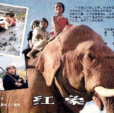 紅象