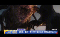 《毒液：最后一舞》舉行看片活動 終章結(jié)局牽動人心