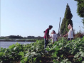 伴你高飞