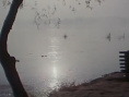 鍋碗瓢盆交響曲