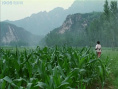 红盖头