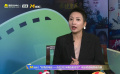 影評人藤井樹談演員怎么演好電影