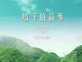 墩子的故事