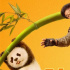 成龍主演電影《熊貓計(jì)劃》上映33天后票房破3億