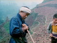 被告山杠爷