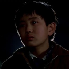 四十不惑