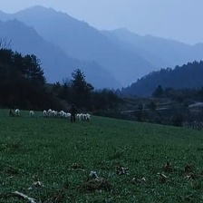 盲山