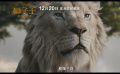 电影《狮子王：木法沙传奇》发布终极预告！
