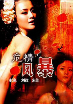 危情风暴