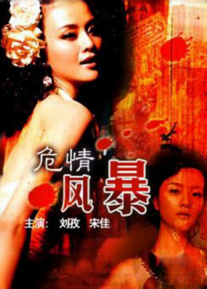 危情风暴
