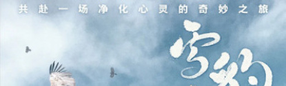 雪豹和她的朋友们
