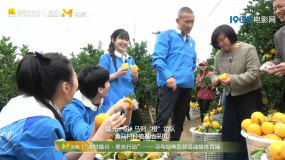被臍橙征服！賴美云兩只手上全是橙子一直在吃
