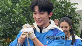 常華森和任璐遙采摘贛南臍橙 20分鐘一共摘了205斤