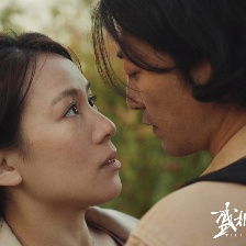 盛極一時的愛情