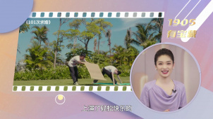 1905有宝藏：那些与海南有关的宝藏电影