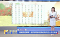 温暖穿透银幕！超百部电影官微给观众送上冬日来信