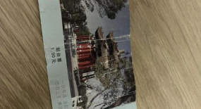 打工人龍年第一道坎，是搶不到春運(yùn)回程票