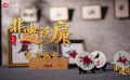 非遺話(huà)廉之通草畫(huà)篇