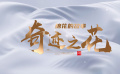 棉花的故事——奇迹之花