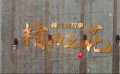 棉花的故事——精神之花