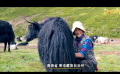 乡村振兴·高原上的中国梦