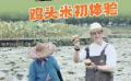 James帶你蘇州walk | 雞頭米初體驗(yàn)